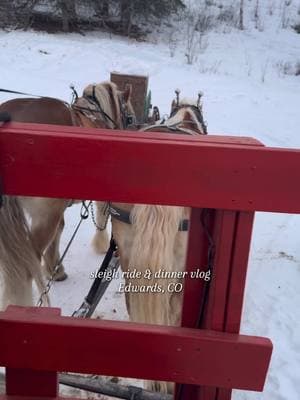 I highly recommend this experience 🥹❄️ horse sleigh ride + a warm & cozy cabin dinner  Edward’s Colorado Bearcat stables 📍 #familyvacation #sleighride #holidaymagic #edwardscolorado #colorado #kingdomfamily 