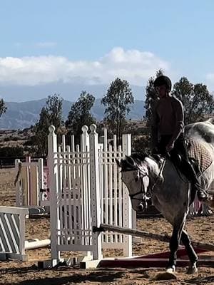 Lockjaw #horse #equestrian #horsesoftiktok #showjumper #hunterjumper #horseboy 