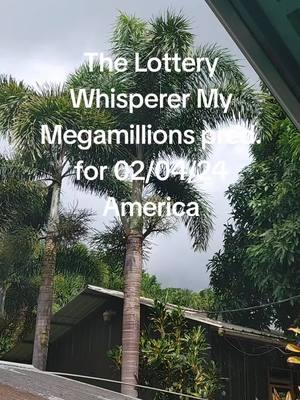 my Megamillions prediction for 02/04/25#Megamillions #Powerball #Euromillions #vegas 