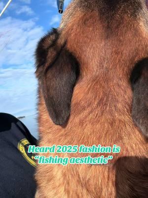 Anything below 75 I’m in layers and most the time there are Malinois😅 #fishing #2025 #fishingaesthetic #offshore #inshore #spearfish #malinois #gsd #dutchie #DogTraining #boatdogs #garmin 