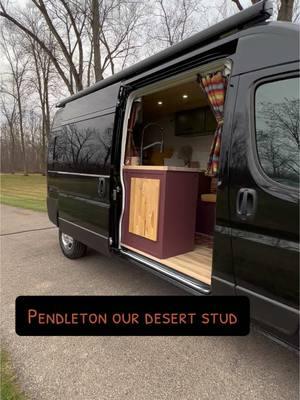 Pendleton is made for the desert, just look at him! True #pendleton fan over here! 😍 #safeandsondervans #vanlife #campervan #michiganvan #vanbuilder #tinyliving #promaster 