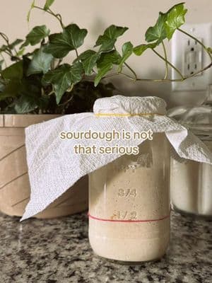 just give her a whirl #sourdough #sourdoughforbeginners #motherhood #sahm #homemaker #bread #sourdoughbread #crunchymoms