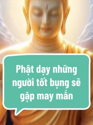 Phật dạy những người tốt bụng sẽ gặp may mắn ✨❤️‍🩹🙏 #tu #tichphuccaimenh #adidaphat #phậttạitâm #followers➕ #xh #cuộcsống #tâmtrạng #phước #phật #xuhuongtiktok #2025 #buddhism 