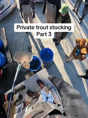 Taking the trout to the creek. #troutstocking #stockingtrout #trout #flyfishing #fishing 