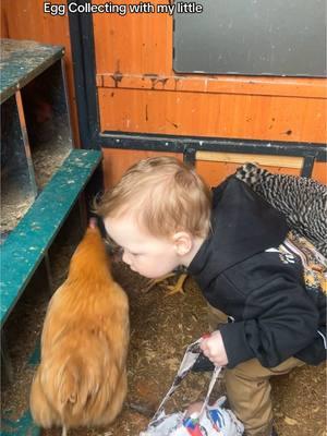 I’m obsessed with my farm baby #farm #farmbaby #mama #sahm #chickenmom #chickens #homestead 