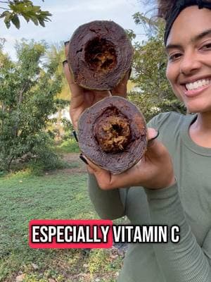 Black sapote is back in season! This is nature’s version of chocolate pudding fruit ! 🍫 Not only delicious but also packed with vitamin c which helps boost our immune system! 💪🏾 If you haven’t yet tried or love it and need more, head over to our website :) ✈️📦  #iheartfruitbox #rarefruit #tropicalfruit #blacksapote 