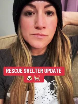 Ashlynn said she has seen EVERY donation that came in, and the words ‘Thank you’ truly isn’t enough ❤️🙏🏼  @FTSOBHRescue  Daily updates on their FB page. For The Sake of Being Humane  . . #fyp #foryoupage #animalrescue #animalshelter #forthesakeofbeinghumane #dogs #cats #rehome #adoptdontshop #animallover 