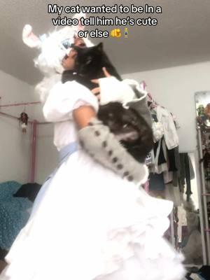 Uploaded my first yt video go watch it or elseeee jkjk 😛(Ignore that he’s balding he likes to over groom himself 😭) #vanny #vannyfnaf #fnafvanessa #vanessa #vannyfnafcosplay #vannysecuritybreach #securitybreach #vanessacosplay #securitybreachcosplay #securitybreachfnaf #fnaf #fnafcosplay #cosplay #cosplayer #fivenightsatfreddys #fivenightsatfreddyscosplay #fnafcosplayer #fnafmovie #fyp #foryou #foryoupage #0undead_angel0 #cats #cat #catsoftiktok #catlover #kitty #kittys #dance 