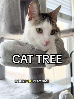 Stop spending tons of money on countries in stores when you can get them for cheap on TikTok Shop. This cat tree will provide hours of playtime fund for your kitty. @Yitahomefurniture #cattree #yitahome #yitahomefurniture #cattrees #kittycat #catsoftiktok #sillykitty #catvideos #cattoys #cattoy #catenrichment #cutepets #cutepetsoftiktok #PetsOfTikTok #catlover #catlife #catlounge #catplayground #catplaying #cheap #cheaptok #onsale #flashsale #free 