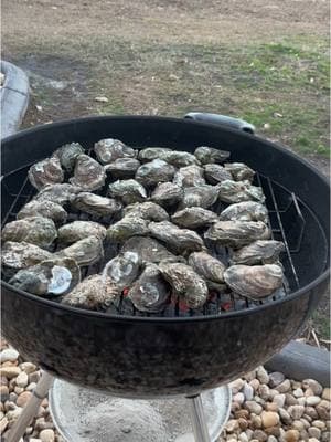 Spend Saturday with us🤍🦪 #publix #shopping #oysters #friends #family #slowsaturday #slow #chili #toddlersoftiktok #toddler #mama #mommy #daddy #dogs #cats #smalltown #saturdaynight #saturday #fernandina #beach #florida #ballerinafarm #protein #sourdough #sourdoughbread #starter 