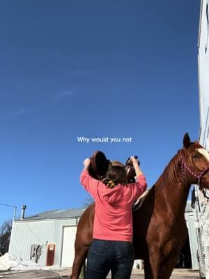 Just out here taking a chance on me. #CapCut #foryou #horsesoftiktok #horses #barrelhorse #barrelracer #blessed #lovemysport #barrelracing #fyp 