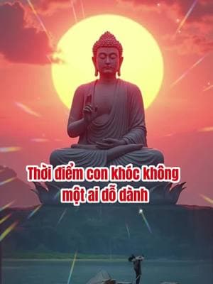 Thời điểm con khóc không một ai dỗ dành ✨❤️‍🩹🙏 #cuộcsống  #tichphuccaimenh #adidaphat #phậttạitâm #followers➕ #tu #tâmtrạng #xuhuongtiktok 