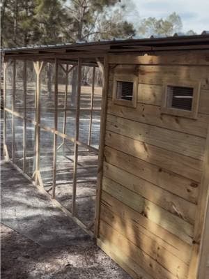 Today’s delivery! ✨ #chickencoop #chickencoops #coops #fyppppppppppppppppppppppp #diycoop #fyp #fyf #chickens #chickensoftiktok 