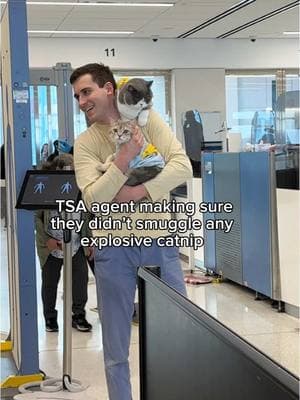 They were such good boys on our flight back home from NYC ❤️ For those interested their ibiyaya stroller frame and carriers are linked in our bio 🫶 #cats #cattravel #travelcat #travel #cutecats #pettravel #britishshorthaircat #airport #catsoftiktok #kucing #gatos