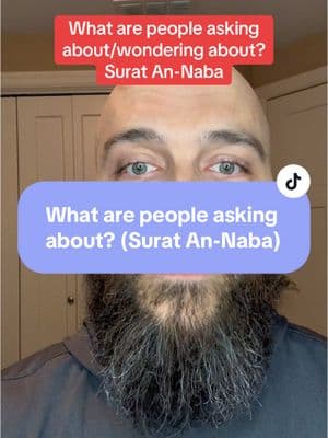 What are people asking/wondering about? Surat An-Naba #islam #muslim #muslimtiktok #quran #tafsir #tafseer #judgementday #allah 