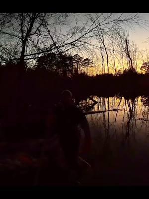 Don't Give Up! || Beaver Dam Removal! #beaverdamremoval #beaverdamswamp #beaverdam #gatorcreek #damremoval #beavers #dam #drain #draining #water #unclogging #terrellspivey #fypシ゚ #foryoupageシ #foryou #viralreels #viralvideo #foryoupageofficiall #fyp #fyppppppppppppppppppppppp #tiktok #tiktokreels #shorts #tiktokvideos #viraltiktokvideo #christiantiktok 