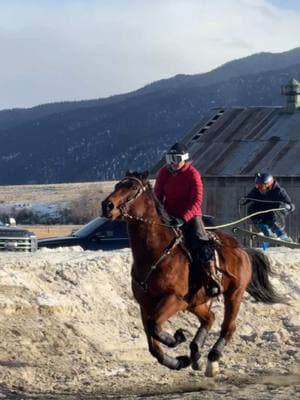 Skijoring the Big Rock in Boulder, Montana! #montana #skijoring 