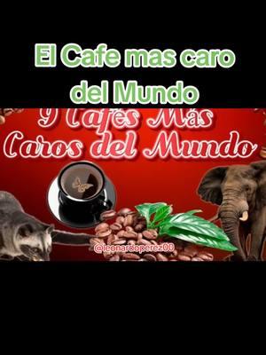 #fyp #foryou #foryoupage #parati #curiosidades #SabiasQue #negocios #cafemascarodelmundo #cafeteria #starbucks #tecnologia #inventos #videoviral 