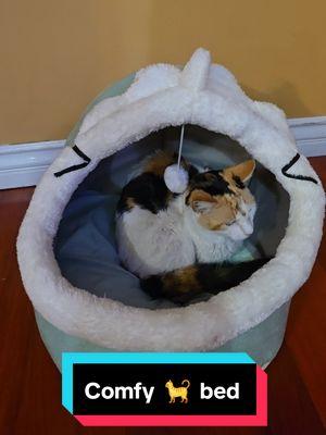 our cat still loves this cozy cat bed from the TikTok Shop. #catsoftiktok   #catlife #blogaboutitall #TikTokShop #TikTokMadeMeBuyit #FallDealsForYou #TikTokShopLoveAtFirstFind #spotlightfinds #giftideas 