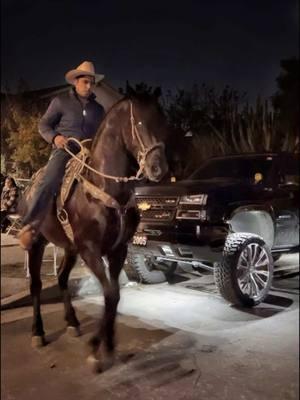 Algo leve🐴🤠 #caballos #horse #caballosbailadores #caballosoficial #chevy #silverado #z71 #4x4 #cortita #trokas #trokasbajitas #trokastumbadas #trokasperronas #tachuache #noquema #trokiando #cuhh #fyppppppppppppppppppppppp #fypシ #losangeles #trokasycaballos 