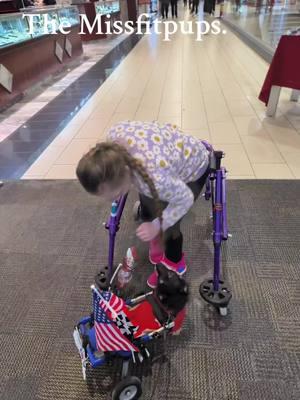 #dashing_duncan #dog #dogoftiktok🐶♥️ #missfitpups #maplewoodmall #minnesota #wheelchair #happy #missfitpups #foreverhomeformisfitpups #helping_hunter #happytears #happy #momentslikethis @DogPack @Maplewood Mall tiktok @Critter Country Pet & Feed 