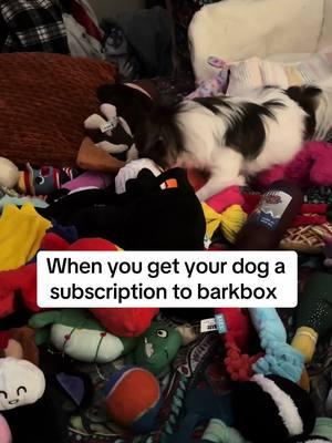 They really di have the cuttest toys, #barkbox #barkboxtoys #lucky #rescue #fyp #fypシ #fypシ゚viral 