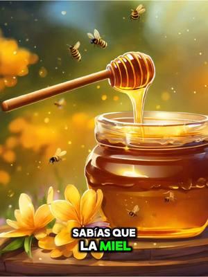 Miel #Miel 	•	#Honey 	•	#MielNatural 	•	#HoneyBee 	•	#Apicultura 	•	#BeeHoney 	•	#MielDeFlor 	•	#HoneyLovers 	•	#MielOrgánica 	•	#Abejas 	•	#HoneyHarvest 	•	#NaturalSweetener 	•	#BeeFriendly 	•	#MielSaludable 	•	#HoneyBenefits