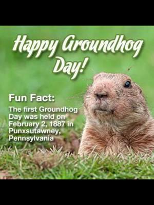 Happy Groundhog Day! #groundhogday #winter #spring #punxsutawneyphil #weatherprediction #fyppp 