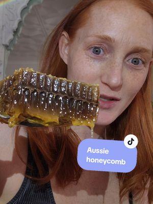 Australian honeycomb! ⚠️ Intense mouth sounds!  #mukbangs #mukbang #asmrtiktoks #aussiethings #aussiefinds #australianfinds #internationalfinds #honeycomb #honeycombasmr #asmrhoneycomb #honeycombeating #honeycombmukbang #mukbanghoney #eatingsounds #asmrcommunity #mukbangfoodasmr #mukbangeatingshow #mukbangasmr 