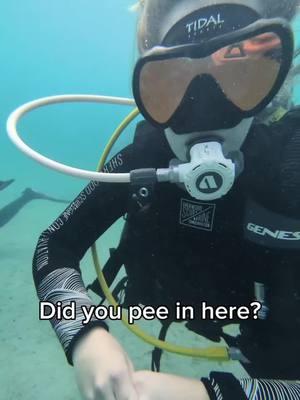 Well in that case.... #joke #divebuddies #underwaterlife #scubahumor