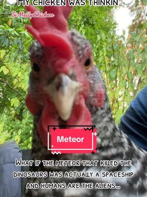 What if the meteor that killed the  dinosaurs was actually a spaceship  and humans are the aliens… #deeptoughts #deepthoughtchickens #alien #meteor #dinosaur 