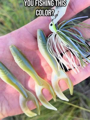 Blueback Herring 😮‍💨 #fishing #fishingtiktoks #bassfishing #custommade #handmadelures #largemouthbassfishing #largemouthbass #mre #matchthehatch 