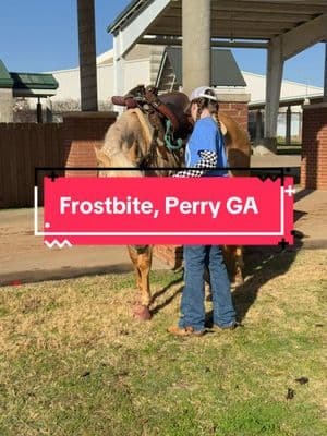 This weekend, Brooklyn tackled her first big show in Perry, GA, at the Good Times Barrel Racing for the Frostbite with all the heart and hustle we know she’s got! While nerves might’ve played a little tag with her luck, she pushed through two tough runs—unfortunately, knocking barrels led to no times both nights. But there’s a silver lining, if she’d run clean Friday, she would’ve been in the money. Talk about so close to that payday on her first run! #BarrelRacing #BarrelRacer #RodeoLife #CowgirlUp #FastHorses #TurnAndBurn #RunFastTurnHard #HorseLife #RodeoGirls #BarrelHorse