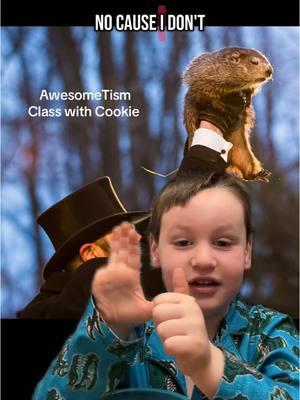 He never ceases to amaze me with his memory and knowledge. Such a smart 5 year old, and his #autism is a superpower. Unfortunately Phil saw his shadow. Idk though, it’s been feeling pretty early-springy around here. What do you think? #groundhogday #punxsatawneyphil #autismawareness #awesometism #cookiecrew #greenscreen 