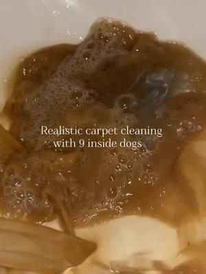 Definitely a major difference😂 #CleanTok #realistic #sahmsoftiktok #cleaning #cleaningtiktok #satisfyingcleaning ##cleantok101##cleaningtok##cleaninghacks##cleaningmotivation##cleaningmotivation##gentlegiant##satisfyingcleans##carpetcleaning##messyhouse##nc##northcarolina##greatdanesoftiktok##furbabies