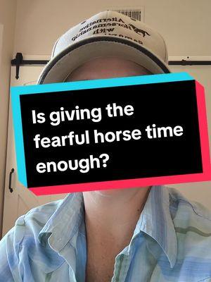 Replying to @caraaethonaea ReEducating the Fearful Horse - Is time enough? #alternativehorsemanship #horsebehavior #horse 