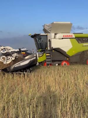 Oklahoma Canola Harvest.  Claas Lexion 8700 combine with a MacDon & a John Deere 9770STS combine with a Deere 635D header in action.  I will have a full video coming to my YouTube channel. #farmhandmike #combine #harvest 