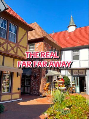 If you’ve ever wanted to jump into a fairytale, go to Solvang, CA! This was one of my top 3 favorite weekend getaways. I dream of aebelskivers often! The only thing that was missing was a Fairy Godmother singing Holding Out For A Hero. #solvang #solvangcalifornia #fairytaletown #farfaraway #danishbakery #danishfood #weekendgetaway 