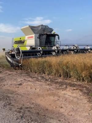 Oklahoma Canola Harvest.  Claas Lexion 8700 combine with a MacDon & a John Deere 9770STS combine with a Deere 635D header in action.  I will have a full video coming to my YouTube channel. #farmhandmike #combine #harvest 