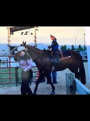 Watching her love for horses grow just like my mom watched mine ❤️ #appaloosa #stallion #horses #fyp #foryoupage #aphc #leopard #caballo #cheval #goodboy #goodboi #aphcproud #spottedathome #dalmation #toddler #toddlersoftiktok #toddlermom #momtok 