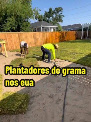 Plantador de grama nos EUA 🇺🇸 – Parece fácil e leve, mas a realidade é outra! O trabalho exige rapidez, é pesado e feito sob o sol escaldante. Você toparia?#jardineiro #plantargrama #vidanoseua #trabalhador #Imigrante 