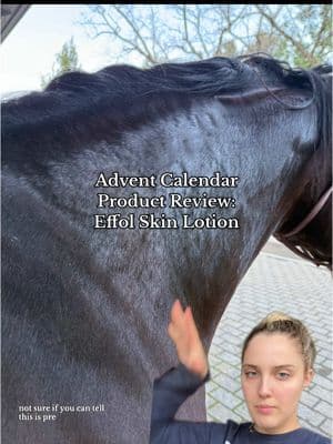 Let’s review the products in my advent calendars! Pt 1: Effol Skin Lotion #equestrian #adventcalendar #horseproducts #westernriding #western #english #hunterjumper #rainrot #horsecare #horseowner #aqha #productreview #equestriansoftiktok #equestriansport #equestrianlife #horsesoftiktok #horseshoe #fypシ 