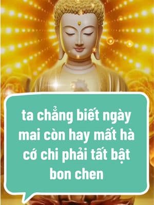 Ta chẳng biết ngày mai còn hay mất hà cớ chi phải tất bật bon chen ✨❤️‍🩹🙏 #phậttạitâm #tu #tichphuccaimenh #adidaphat #followers➕ #cuộcsống #xh #tâmtrạng #xuhuongtiktok #buddhateachings #buddhism 