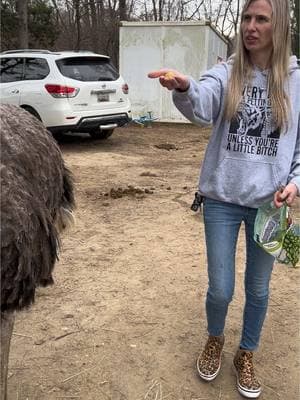 #bigbird #ostrich #mywildlife #harriet #workhorsefarm #fyp  