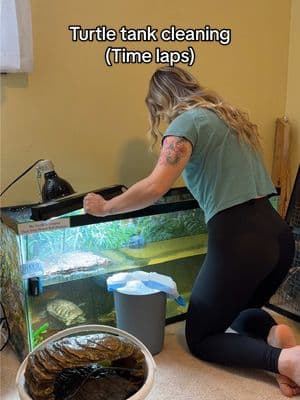 Get a turtle they said… just kidding. I love my Freddy. But he is A LOT of work, and he will live a very long time (thank god)! But that means A LOT of turtle tank cleans for the both of us 😂🥹 #turtle #rewarding #satisfying #turtletok #turtlesoftiktok #turtlecare #aquaticlife #aquatic #fyp #cleaning #cleaningtok #sundaycleaning 