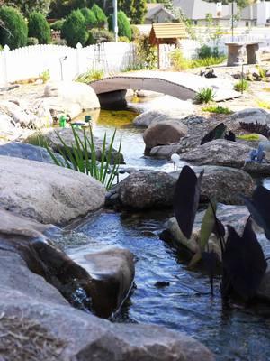 ✨Serenity Sunday✨ #iowawaterscapes #justaddwateria #iowa #desmoines #waterfall #pond #outdoorliving #landscaping #waterscape #aquascape #fountain #koipond #waterfeature #behindthebuild 