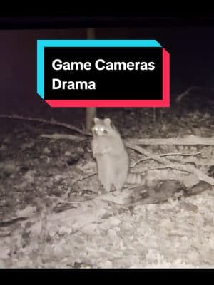 The tale of 2 Game Cameras on 1 night in the Forest #gamecamera #trailcamera #camera #whitetail #deer #coyote #cool #video #onthisday #watchthis #watchtillend #foryou #farmersteve727 