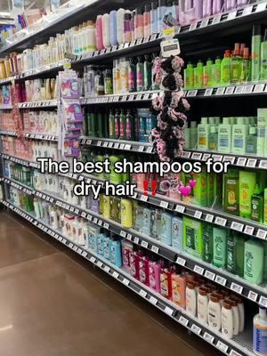 #dryhair #fyppppppppppppppppppppppp #fyp #hairtok #shampoo #dryhairtips #bestshampoo #loreal #churrbomb #hairtiktok #dryhair #foryoupage 