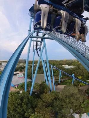 Flying through Orlando, on Manta!  #seaworld #seaworldorlando #manta #flying #flyingcoaster #coaster #rollercoaster #themepark #amusementpark #florida #orlando #orlandoflorida 