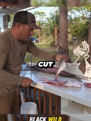 Amber jack - Catch and cook P3 #amberjack #fishing #Outdoors #catchandcook #survival #camping #fyp 